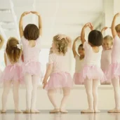 школа танцев demi изображение 7 на проекте zuzino24.ru