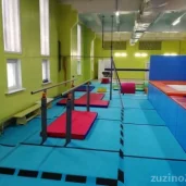 академия гимнастики академия гимнастики изображение 7 на проекте zuzino24.ru