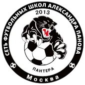 футбольная школа александра панова пантера изображение 1 на проекте zuzino24.ru